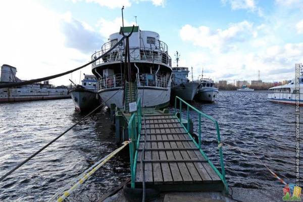 Сайму уводят на завод